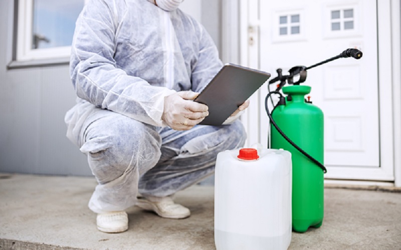 A Practical Overview of Pest Control Services in Singapore